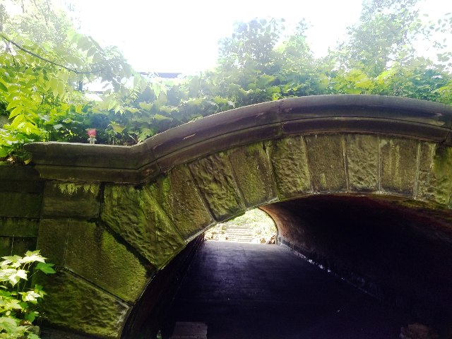 Springbanks Arch