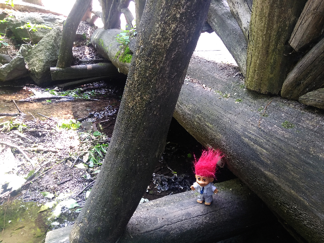 Ramble Rustic Bridges